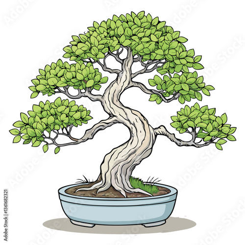 Create a bold, stylized vector illustration of a beech bonsai tree, emphasizing strong, graphic lines and simplified forms.