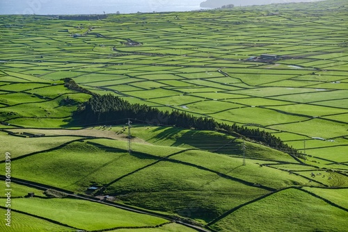 Obraz na płótnie View of green patchwork fields at sunset. Island Farmland: Serra de Cume Panorama. A sweeping view of Terceira's agricultural landscape from Serra de Cume, Azores. w salonie