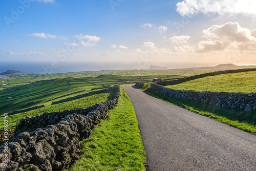 Obraz na płótnie Serene rural scene in Terceira featuring a winding road through vibrant green patchwork fields, offering a peaceful view of the island's unique landscape. A rural road in the mountains in Azores w salonie
