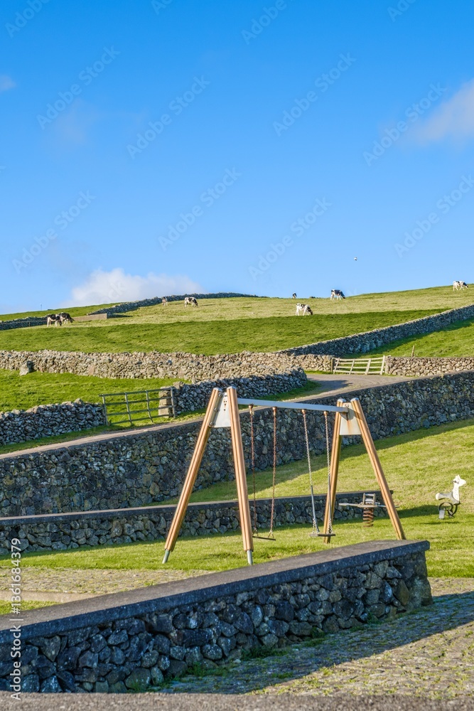Scenic Swing and Pasture View. A swing set overlooking green pastures with grazing cows in Terceira, Azores. Charming rural scene. Terceira Rural Playground