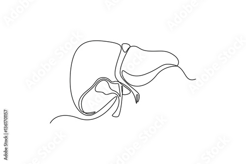 Liver. parts of the body concept. Single line draw design. Vector graphic illustration