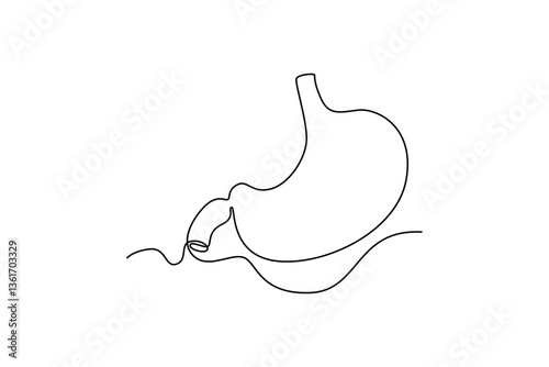 stomach. parts of the body concept. Single line draw design. Vector graphic illustration
