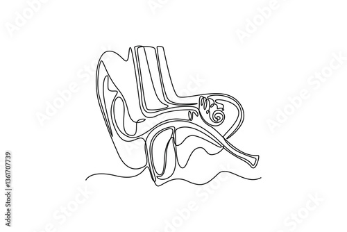 Ears Anatomy. parts of the body concept. Single line draw design. Vector graphic illustration