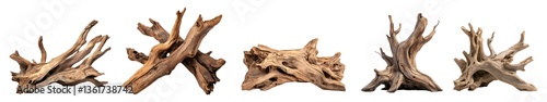 Natural Weathered aged driftwood curved rustic oak wooden tree log trunk stump wood withered sculpture on transparent cutout, PNG file. Many assorted different Mockup template for artwork design