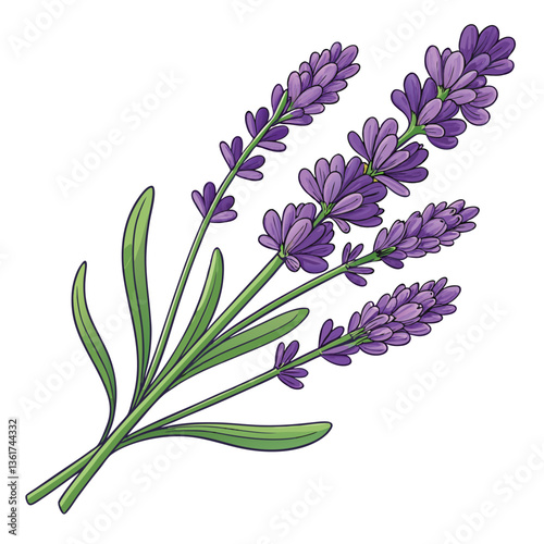 Create a vector illustration featuring bold, deep purple and lavender strokes.  The strokes should be dynamic and expressive.