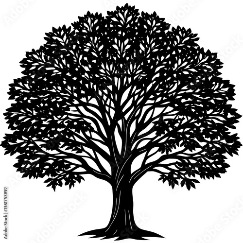 ash tree silhouette vector 