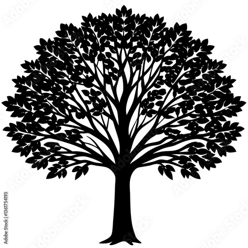ash tree silhouette vector 