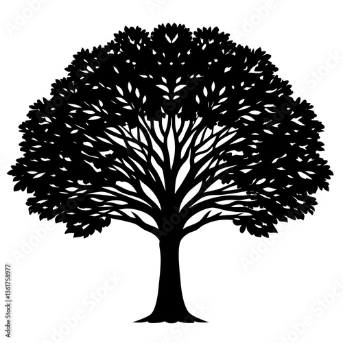 elm tree silhouette vector 