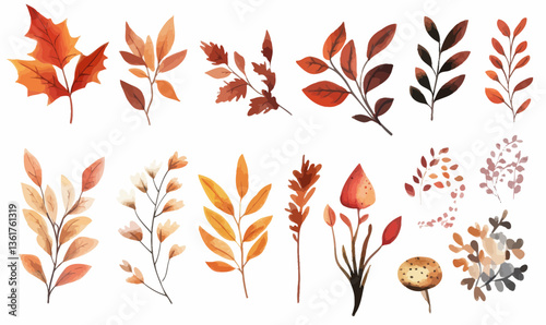 Minimalist Autumn Watercolor Leaves and Foliage Frame Vector Illustration Set