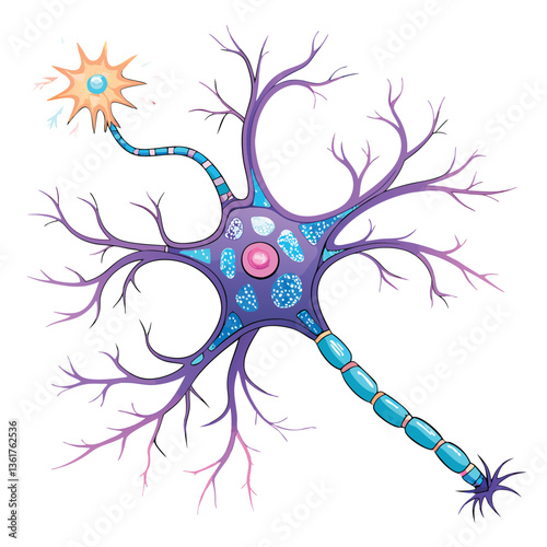 Create a bold, vector illustration of a glowing neuron, emphasizing its intricate branching structure with vibrant, dynamic strokes.  Include detailed nodes and axon terminals.