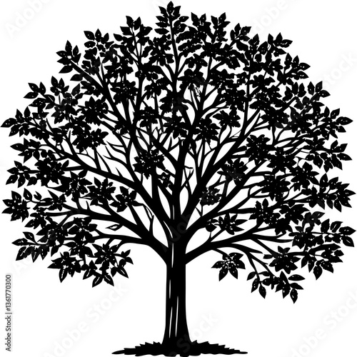 black and white spindle tree