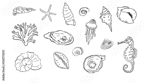 Sea shell sketch ocean life hand drawn illustration. Outline modern style, summer, vacation, beach design elements. Coral and seaweed, starfish line. 
