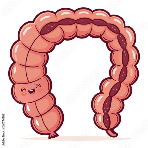 Create a bold, vector illustration of a large intestine, emphasizing its form and texture with strong, contrasting strokes.