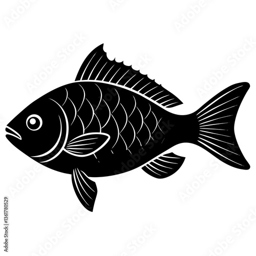 fish on a white background