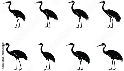 Crane Bird Vector Shilhouette Bundle Set Collection