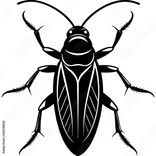 cockroach isolated on white background