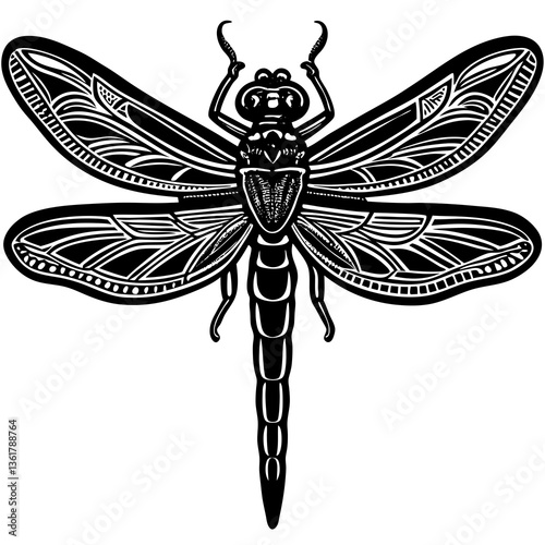 dragonfly vector illustration
