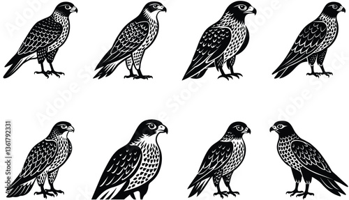 Hawk Bird Vector Shilhouette Bundle Set Collection