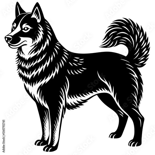 black and white dog