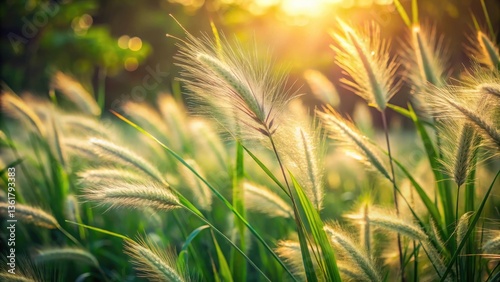 Golden Hour Meadow  Soft Sunlight Illuminating Delicate Grass Seeds in a Verdant Field
