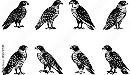 Hawk Bird Vector Shilhouette Bundle Set Collection