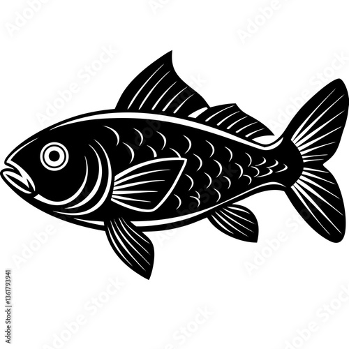 fish on a white background