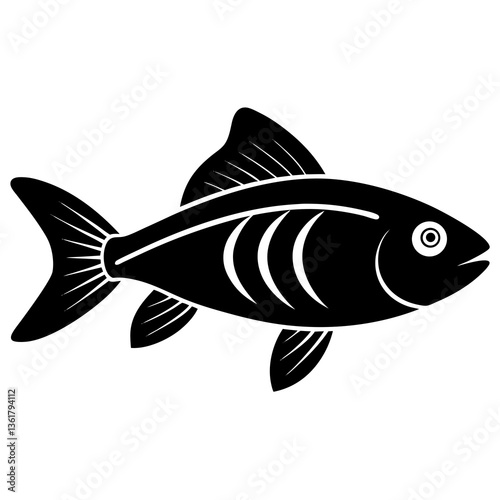 fish on a white background