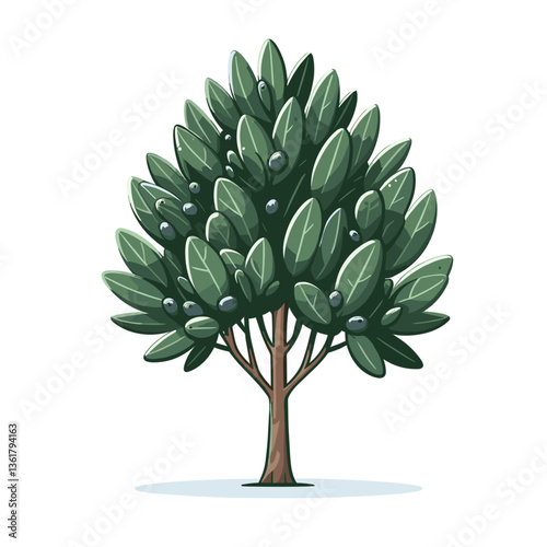 Olive tree with dark green foliage. Perfect for Mediterranean food themes and orchard cultivation illustrations.