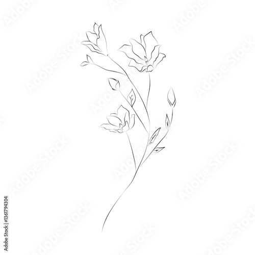 Line Drawing Botanical Wreath. Herbs and florals 06. Vector Illustration.