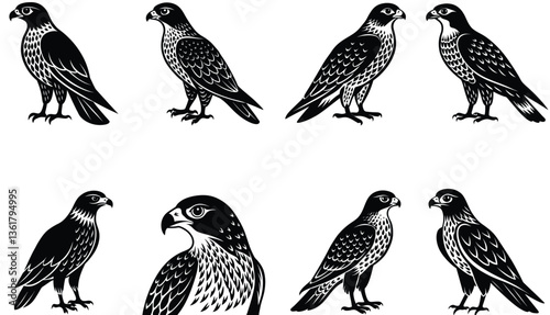 Hawk Bird Vector Shilhouette Bundle Set Collection