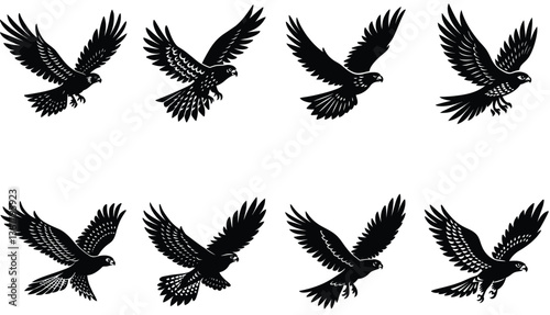 Hawk Bird Vector Shilhouette Bundle Set Collection