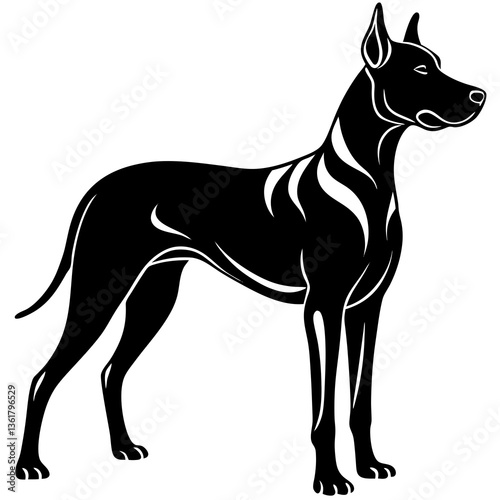 black and white dog