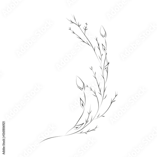 Line Drawing Botanical Wreath. Herbs and florals 10. Vector Illustration.