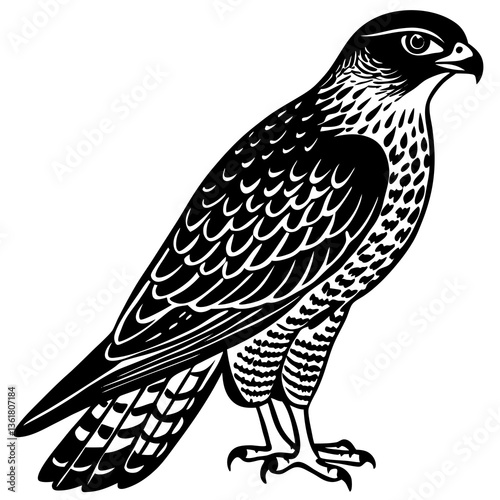 bird of prey