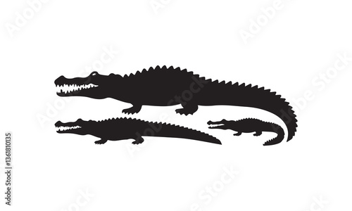  three crocodile vector on white background