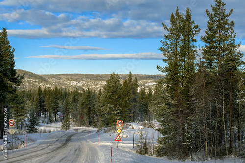 view of winter forest by the road, trees stand like a solid wall by the side of the road, trees against the blue sky, sunny day, snow, frost