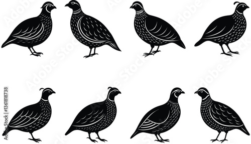 Quail Bird Vector Shilhouette Bundle Set Collection
