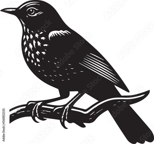 Thrush silhouette vector style with white background