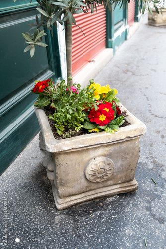 Flowers in the Vienna street 