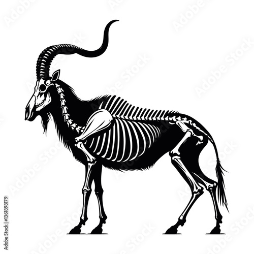 Lichtenstein's hartebeest skeleton  silhouette