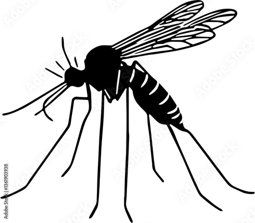 vector illustration of mosquito