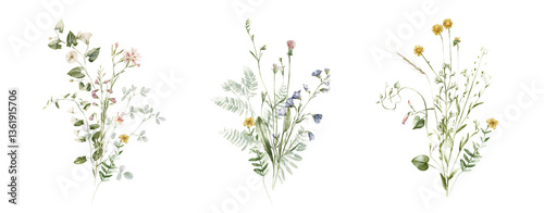 Watercolor wildflower floral illustration set - green gold flower daisy ivy wreath frame border bouquet. Wedding stationary, greetings, wallpaper, fashion, background, textile. Eucalyptus, olive, ivy.