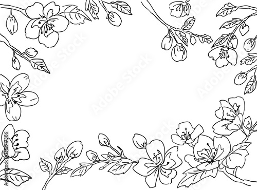 手書き風　線画の桜のフレーム