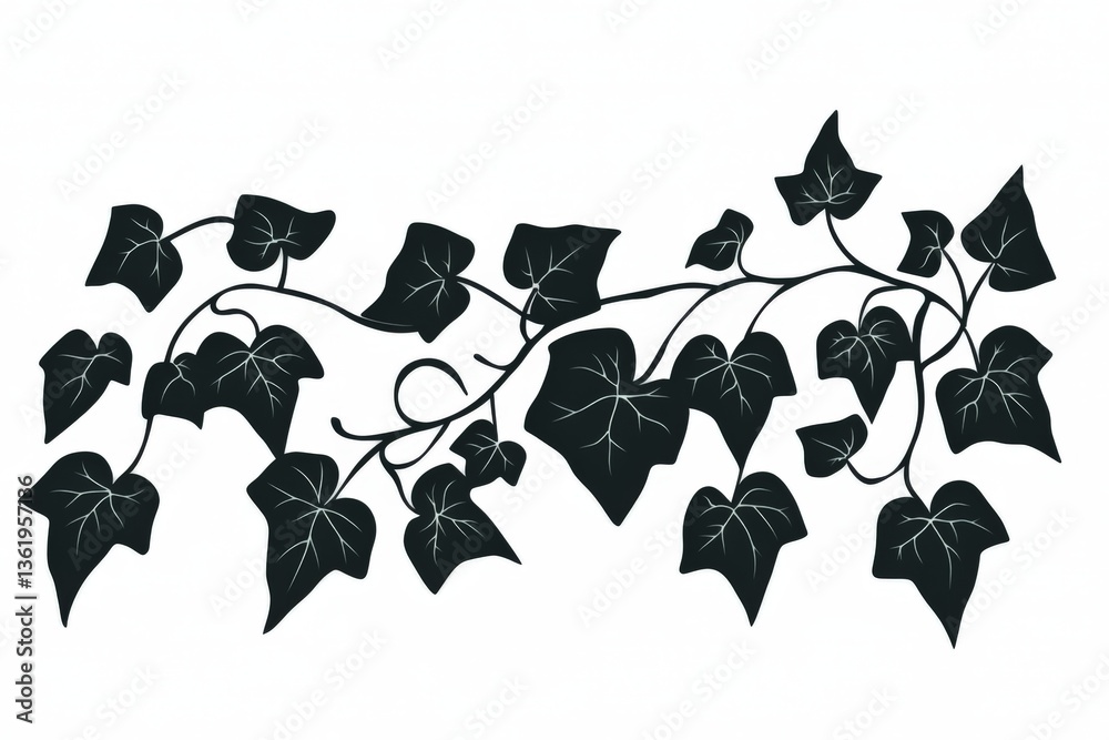 Obraz premium Decorative ivy vine illustration with detailed leaves in black silhouette on a plain background