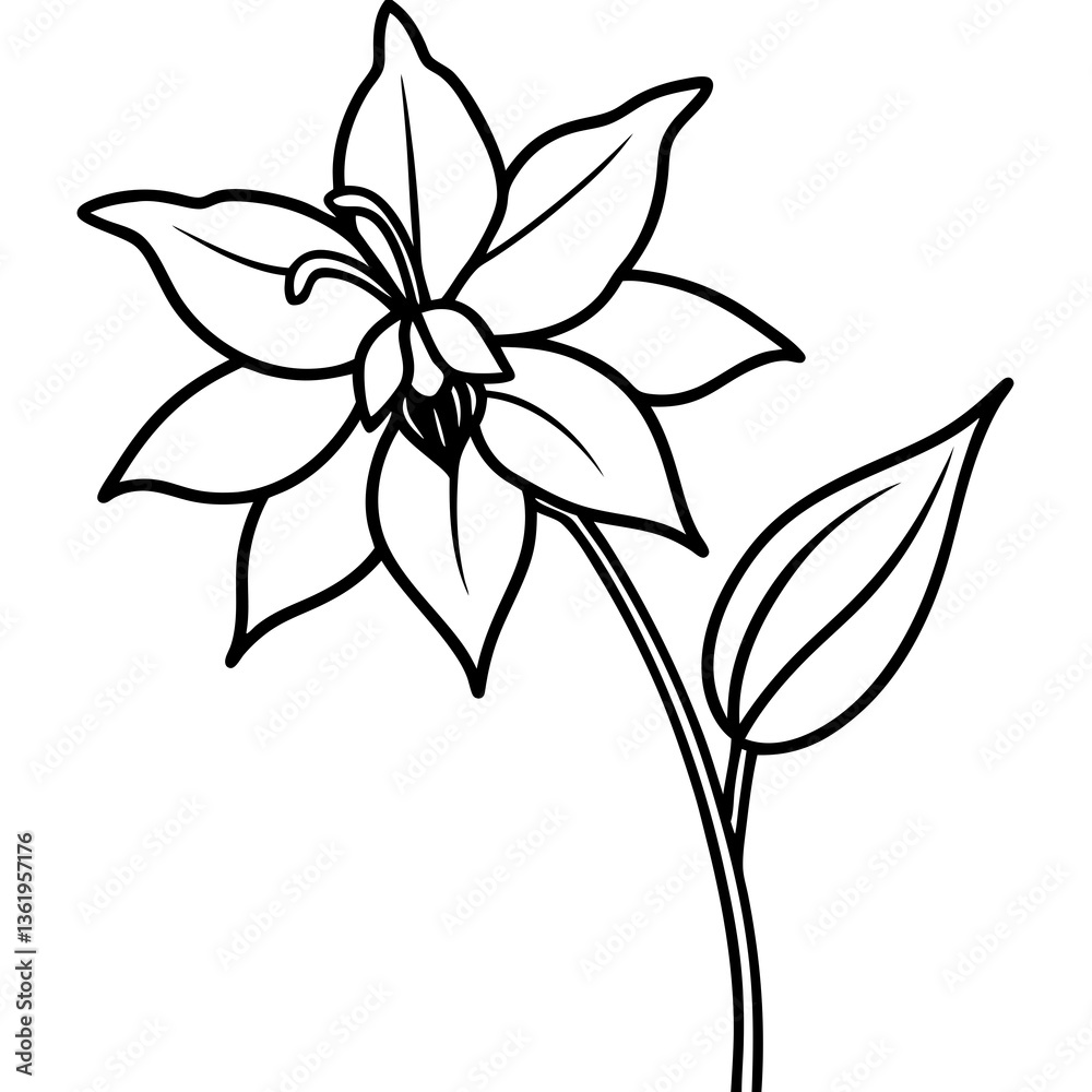 High-quality Columbine flower vector illustration, perfect for digital design and creative projects. High-quality Columbine flower vector illustration, perfect for digital design and creative projects.