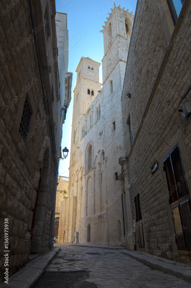 Fototapeta premium Co-Cathedral of Saint Mary of the Assumption