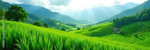 Green landscape with lush mountain hills and vibrant rice fields in a serene village setting, nature,  hills