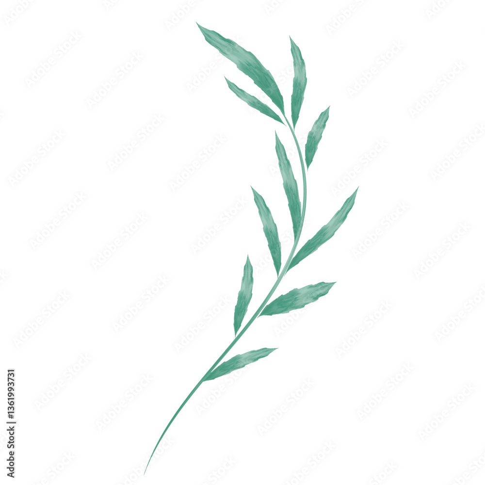 Fototapeta premium leaf