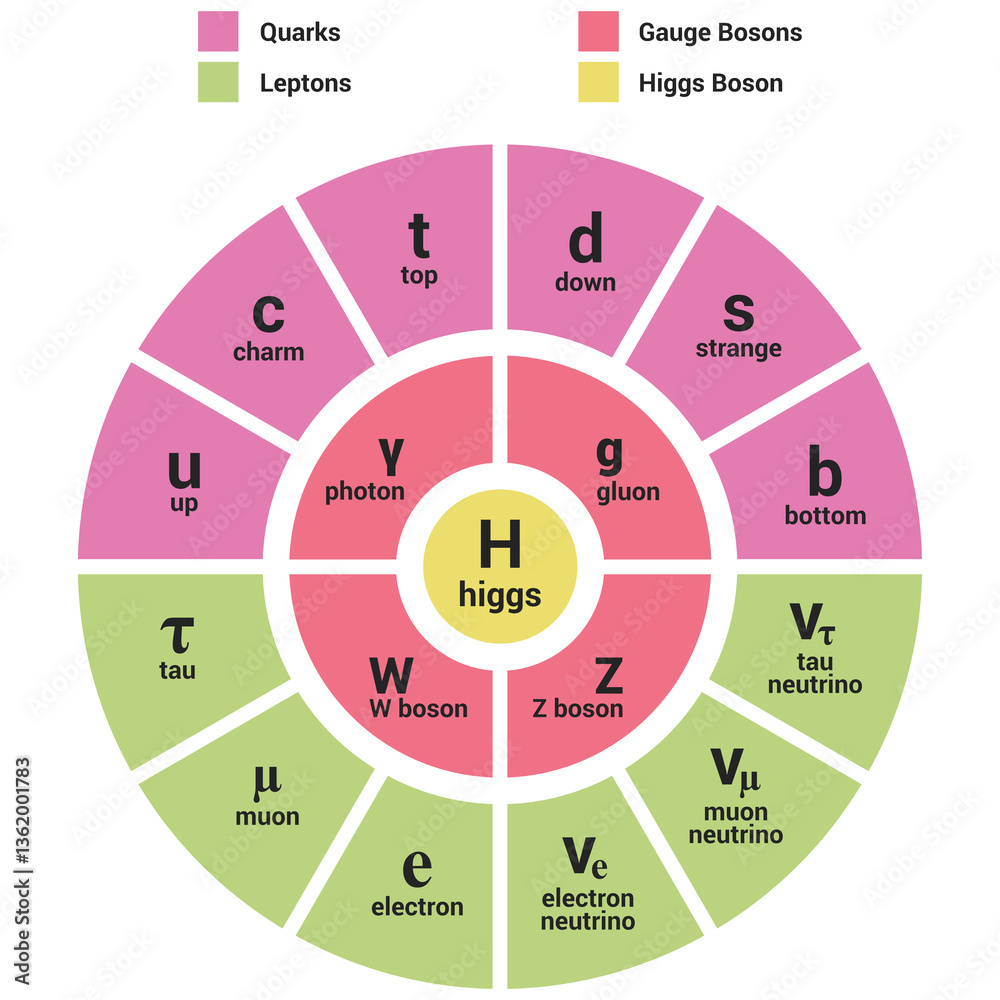 Fototapeta premium Standard Model of Elementary Particles - circle view