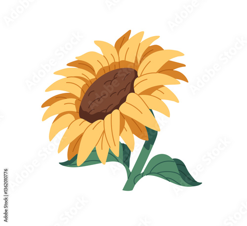 Branch of yellow sunflower. Farm sun flower with green leaves. Ripe wildflower, bloom meadow or field plant. Summer flora, blossom nature. Flat isolated vector illustration on white background